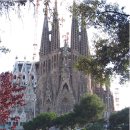 파밀리아 이미지