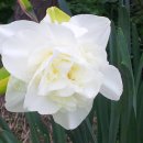 별빛정원B 이미지