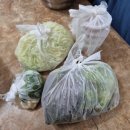 안전횟집 | 부산 기장 아나고회 맛집 뷰좋은 칠암횟집 붕장어회 포장후기