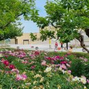 달음산자연휴양림 이미지