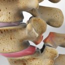 의정부 본 정형외과의원 이미지