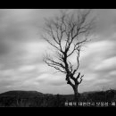 제주하늘바람 이미지