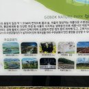 고복자연공원 갈대습지원 이미지