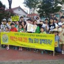 화정태양광발전소 이미지