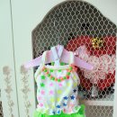 안나 제니 펫샵 | 후기이벵 당첨) 안나제니펫샵 꼬까 입은 큐티~^^