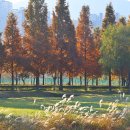 낙동강변6 이미지