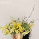 바이조조