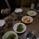 박씨물고온제비 티스토리