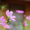 브레드82 이미지