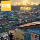 논산골 | 동해 가볼만한 곳 묵호여행 아름다운 벽화마을 논골담길