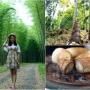 한초농장 이미지