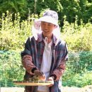 대중목공