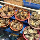 용궁수산시장-포차존 | 경남 사천 가볼만한곳 삼천포 용궁수산시장 추천 전통 어시장 주차장