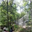 내곡동447 이미지