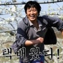 닭찌 이미지