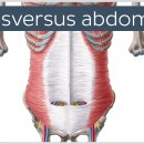 시퀀스무브먼트 이미지