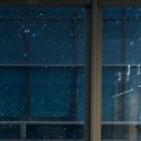 방명규약국 이미지