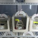 꾸움케이크 | 생일 주문제작 케이크 추천, 케이크 후기 내돈내산 [꾸움]