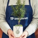 탑포인트 이미지