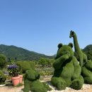 폭포가든 | 서울 근교 애견동반 당일치기 추천 | 포천 비둘기낭폭포 가든페스타 후기