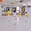 솔빛태권스쿨 이미지