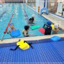 오션 차일드 평택센터 이미지