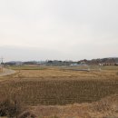 도내1리 경로당 Daum카페