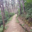 군북-10 Daum카페