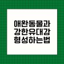 유대감 티스토리