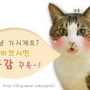 산촌한방능이백숙 이미지