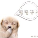 헐 이미지
