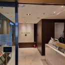 스카이 P.P 이미지