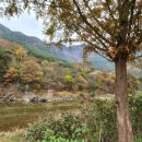 소천초등학교두음분교장 이미지