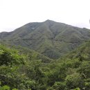 비솔농장 이미지