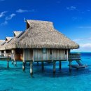 프랑스리조트 이미지