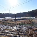 충남부동산공인중개사 이미지