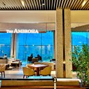 소노펠리체 델피노 이미지