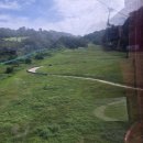 평화당구장 | 소노벨 비발디 놀거리 곤돌라 양떼목장 놀이기구