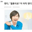 앤디안