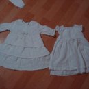 파코라반베이비 이미지