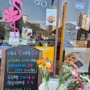 죽현로 | 통창 감성에 꽃까지 더한 힐링 카페, [카페 플라밍고]보정동 디저트 맛집 후기 🌸