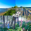 송림숲화장실 | 충남 서천 장항송림 자연휴양림 스카이워크 맥문동 일몰