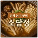 소담정 | 단양 소노문 고수동굴 근처 현지인 맛집 추천 소담정 내돈내산 후기