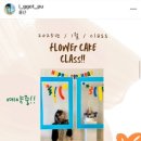 아이꽃피유 이미지
