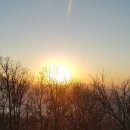 일출공인중개사사무소 이미지