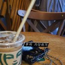 유림동물안과병원 이미지