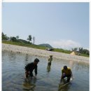 모곡마을회관 이미지