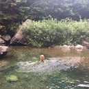 물친구 이미지