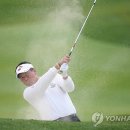 (주)동서투어 이미지