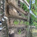 푸른종묘농약사 | 늘푸른종묘농약사 방문 후기